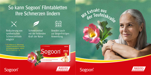 SOGOON 480 mg επικαλυμμένα με λεπτό υμένιο δισκία, 20 τεμάχια