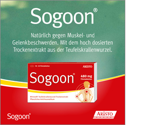 SOGOON 480 mg επικαλυμμένα με λεπτό υμένιο δισκία, 20 τεμάχια