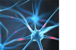 NEUROPEP Κάψουλες, 30 τεμάχια