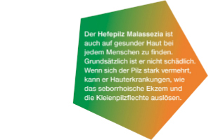 KETOZOLIN Σαμπουάν 2%, 120 ml