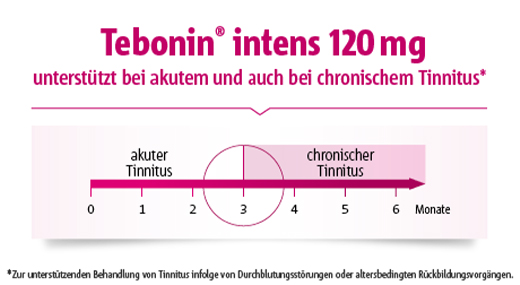 TEBONIN intens 120 mg επικαλυμμένα με λεπτό υμένιο δισκία, 200 τεμάχια