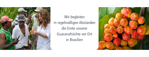 GUARANA BIO Καθαρή σκόνη, 100 g