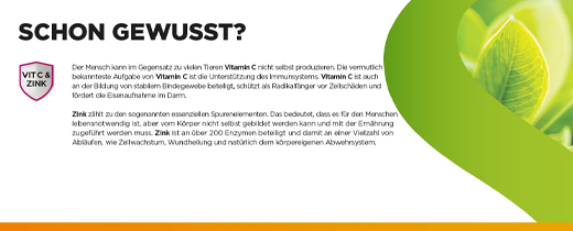 DOBENSANA Βότανα με γεύση κεράσι Vit.C & Παστίλι ψευδαργύρου, 16 τμχ