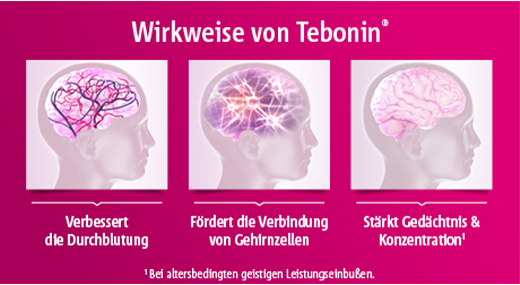 TEBONIN konzent 240 mg επικαλυμμένα με λεπτό υμένιο δισκία, 30 τεμάχια