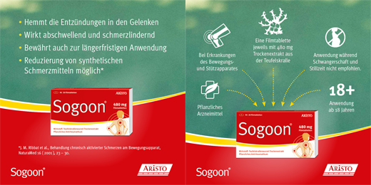 SOGOON 480 mg επικαλυμμένα με λεπτό υμένιο δισκία, 20 τεμάχια