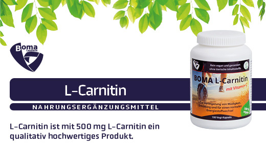 L-CARNITIN 500 κάψουλες, 100 τεμάχια