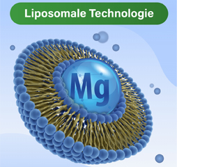 GLYCOWOHL κάψουλες vital liposomal magnesium high dose, 120 τεμάχια