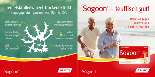 SOGOON 480 mg επικαλυμμένα με λεπτό υμένιο δισκία, 20 τεμάχια