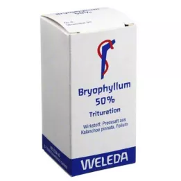 BRYOPHYLLUM 50% σκόνη για χρήση από το στόμα, 20 g
