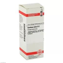 GENTIANA LUTEA Αραίωση D 2, 20 ml