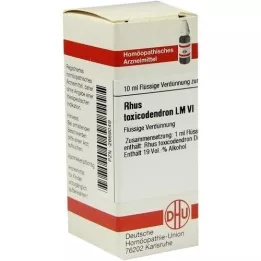 RHUS TOXICODENDRON LM VI Αραίωση, 10 ml