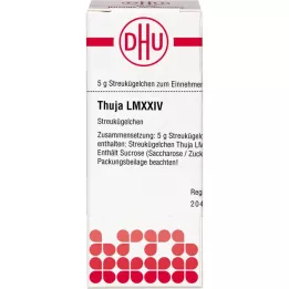 THUJA LM XXIV Σφαιρίδια, 5 g