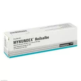 MYKUNDEX Θεραπευτική αλοιφή, 50 g