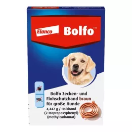 BOLFO Ζώνη προστασίας από ψύλλους καφέ για μεγάλα σκυλιά, 1 τεμάχιο