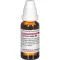 CURCUMA LONGA Αραίωση D 4, 20 ml