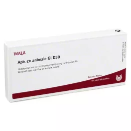 APIS EX animale GL D 30 αμπούλες, 10X1 ml