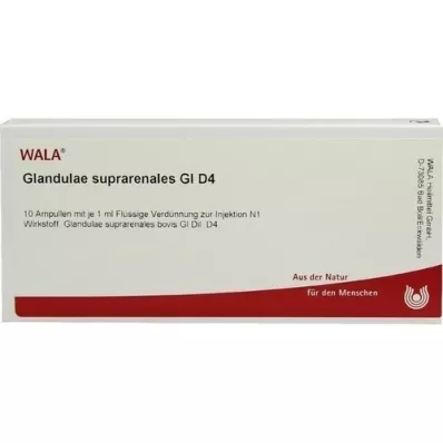 GLANDULAE SUPRARENALES GL D 4 αμπούλες, 10X1 ml