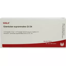 GLANDULAE SUPRARENALES GL D 4 αμπούλες, 10X1 ml