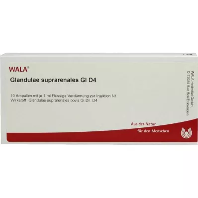 GLANDULAE SUPRARENALES GL D 4 αμπούλες, 10X1 ml