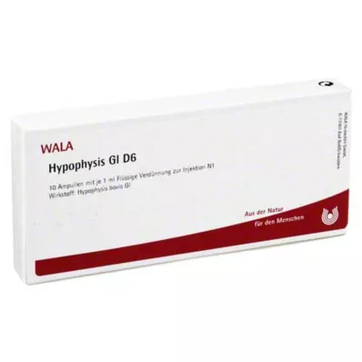 HYPOPHYSIS GL D 6 αμπούλες, 10X1 ml