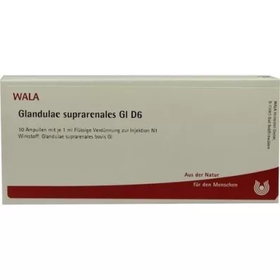 GLANDULAE SUPRARENALES GL D 6 αμπούλες, 10X1 ml