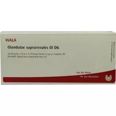 GLANDULAE SUPRARENALES GL D 6 αμπούλες, 10X1 ml