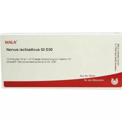 NERVUS ISCHIADICUS GL D 30 αμπούλες, 10X1 ml NERVUS ISCHIADICUS GL D 30 αμπούλες, 10X1 ml
