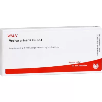 VESICA URINARIA GL D 4 αμπούλες, 10X1 ml