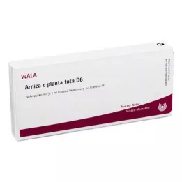 ARNICA E Planta tota D 6 αμπούλες, 10X1 ml