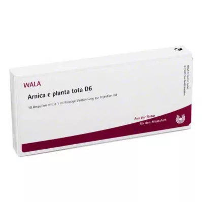 ARNICA E Planta tota D 6 αμπούλες, 10X1 ml