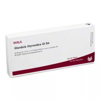 GLANDULA THYREOIDEA GL D 4 αμπούλες, 10X1 ml GLANDULA THYREOIDEA GL D 4 αμπούλες, 10X1 ml