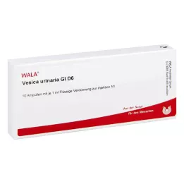 VESICA URINARIA GL D 6 αμπούλες, 10X1 ml