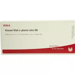 VISCUM MALI e planta tota D 6 αμπούλες, 10X1 ml