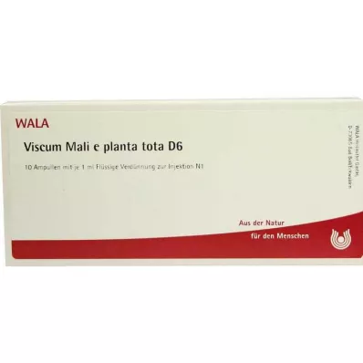 VISCUM MALI e planta tota D 6 αμπούλες, 10X1 ml