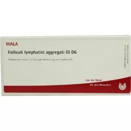 FOLLICULI LYMPHATICI aggregati GL D 6 αμπούλες, 10X1 ml