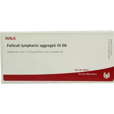 FOLLICULI LYMPHATICI aggregati GL D 6 αμπούλες, 10X1 ml