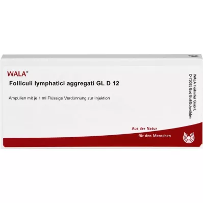 FOLLICULI LYMPHATICI aggregati GL D 12 αμπούλες, 10X1 ml