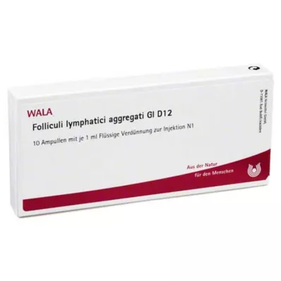 FOLLICULI LYMPHATICI aggregati GL D 12 αμπούλες, 10X1 ml