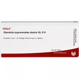 GLANDULA SUPRARENALES dextra GL D 8 αμπούλες, 10X1 ml