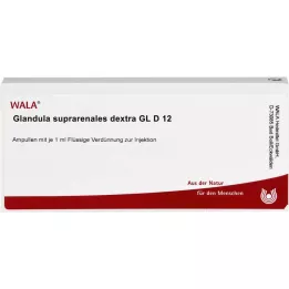 GLANDULA SUPRARENALES dextra GL D 12 αμπούλες, 10X1 ml