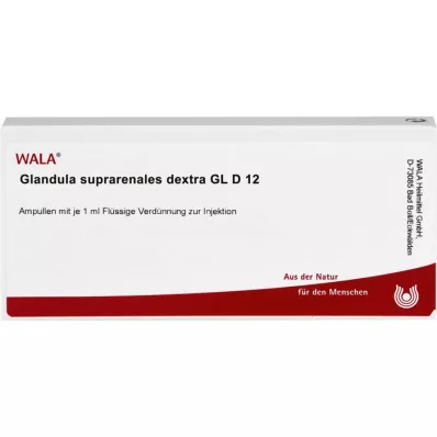 GLANDULA SUPRARENALES dextra GL D 12 αμπούλες, 10X1 ml
