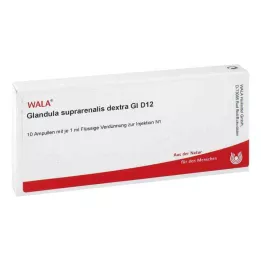 GLANDULA SUPRARENALES dextra GL D 12 αμπούλες, 10X1 ml