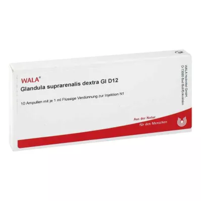 GLANDULA SUPRARENALES dextra GL D 12 αμπούλες, 10X1 ml