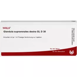 GLANDULA SUPRARENALES dextra GL D 30 αμπούλες, 10X1 ml