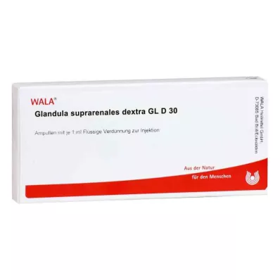 GLANDULA SUPRARENALES dextra GL D 30 αμπούλες, 10X1 ml
