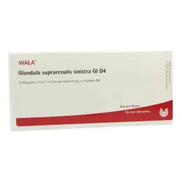 GLANDULA SUPRARENALIS sinistra GL D 4 αμπούλες, 10X1 ml