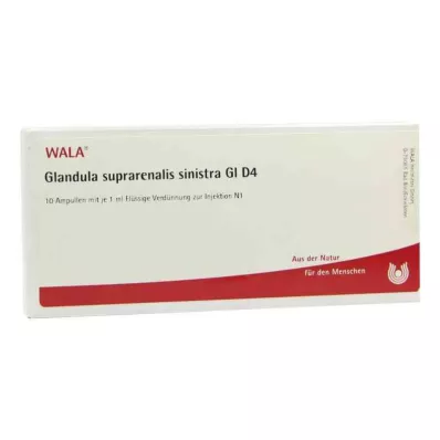 GLANDULA SUPRARENALIS sinistra GL D 4 αμπούλες, 10X1 ml