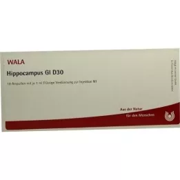 HIPPOCAMPUS GL D 30 αμπούλες, 10X1 ml
