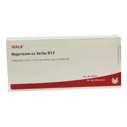 HYPERICUM EX Herba D 12 αμπούλες, 10X1 ml