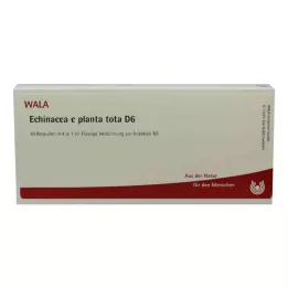 ECHINACEA E planta tota D 6 αμπούλες, 10X1 ml